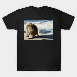 Rottnest Quokka T-Shirt